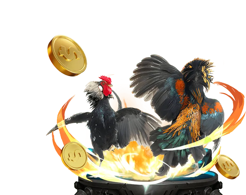 Giới thiệu thương hiệu vin 23